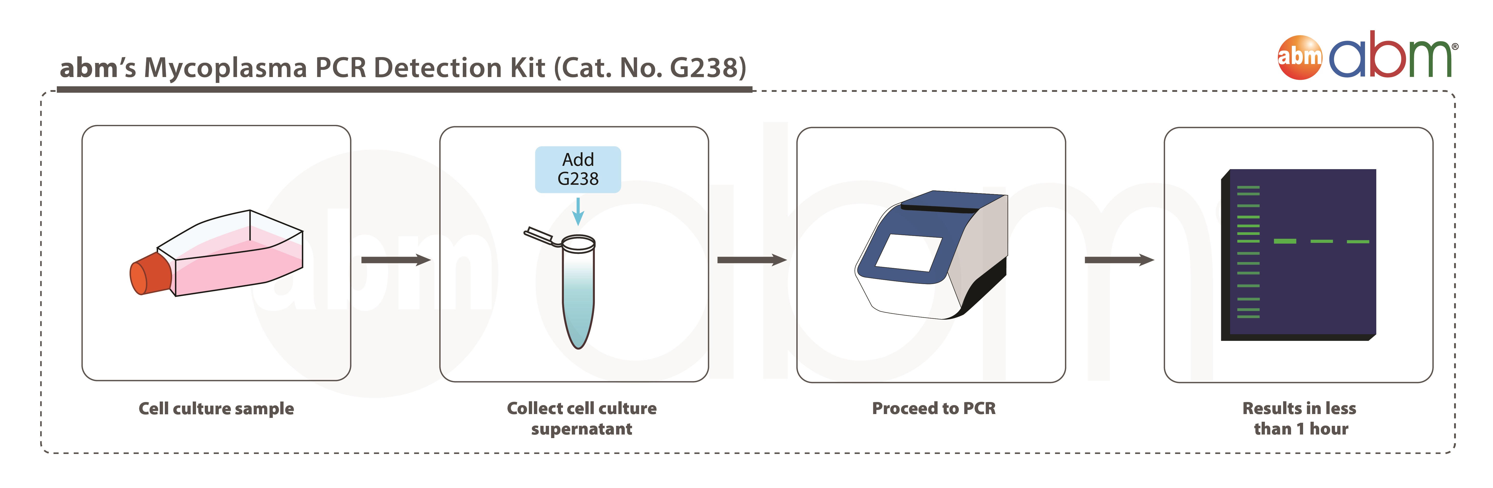 支原体 PCR 检测试剂盒